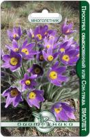 Семена Прострел обыковенный (сон-трава) Виолет Биотехника