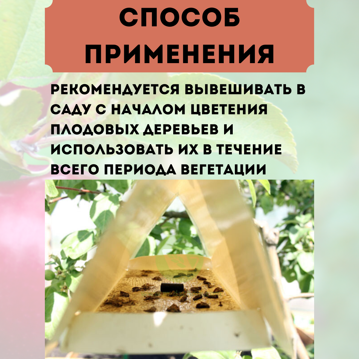 Феромонная ловушка от яблонной плодожорки, 2 шт