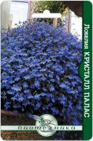 Семена Лобелия Кристалл Палас Биотехника