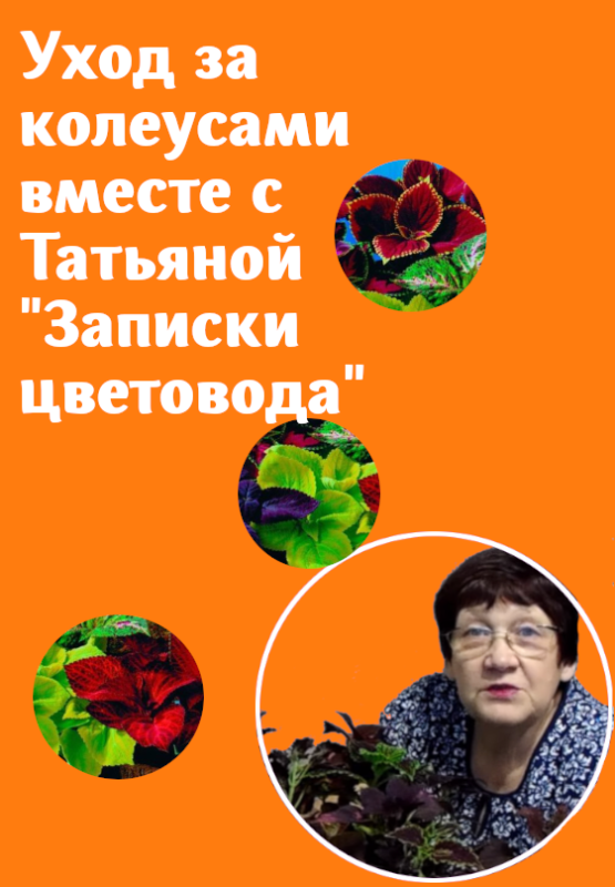 Уход за колеусами вместе с Татьяной "Записки цветовода"