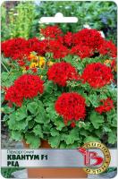 Семена Пеларгония Квантум F1 Ред Биотехника