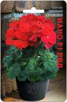 Семена Пеларгония карликовая Нано F1 Ред Биотехника