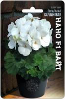 Семена Пеларгония карликовая Нано F1 Вайт Биотехника