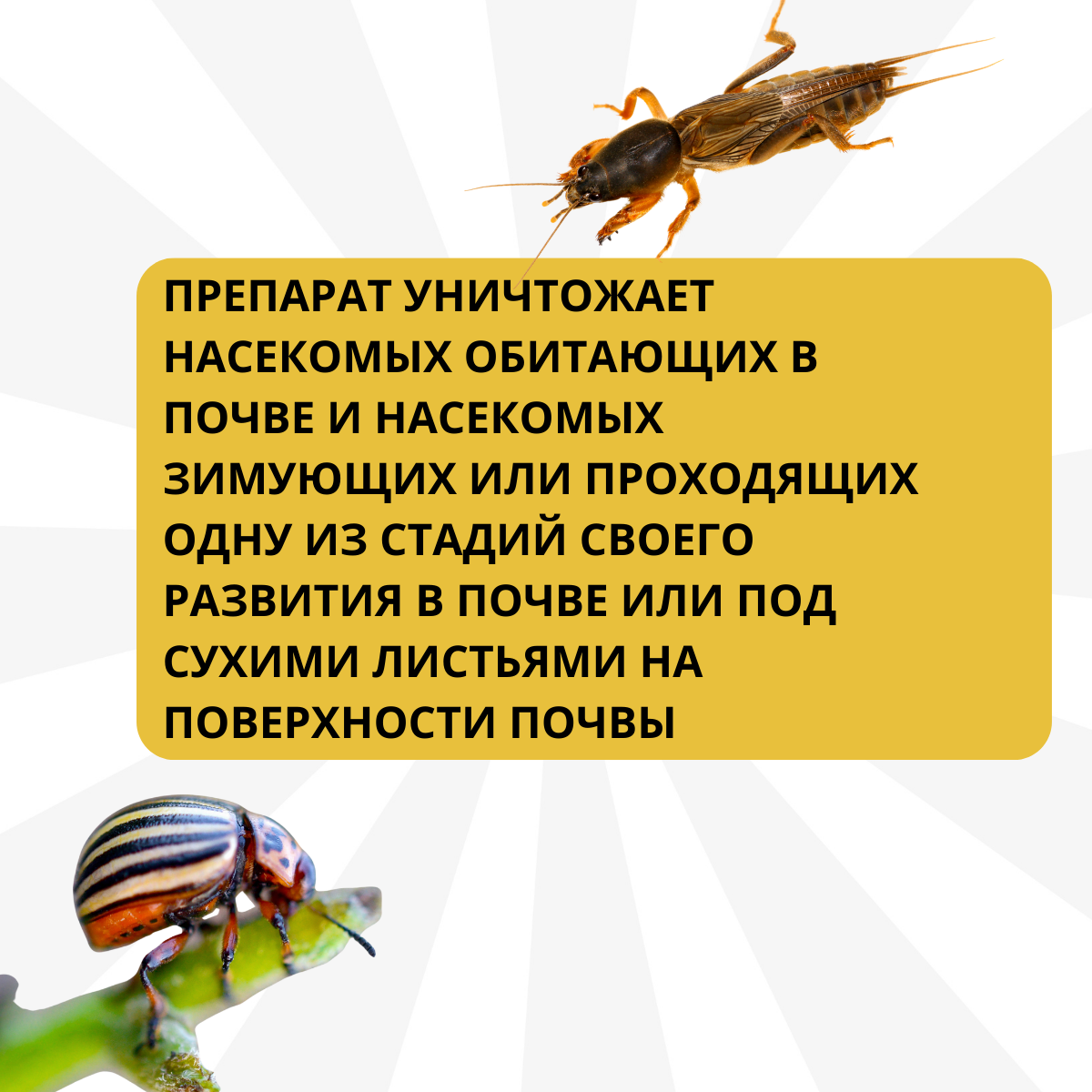 Удобрение Метаризин Микорад INSEKTO 1.1 инсектицид стимулятор роста  растений 50 г