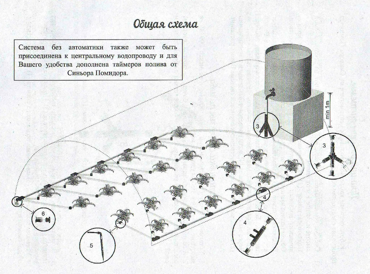 Автополив Для Теплицы Купить