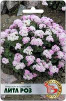 Семена Агератум карликовый Литл Роз Биотехника