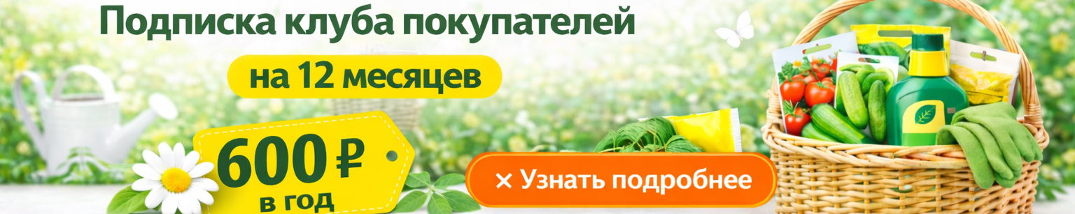 Сверху под шапкой