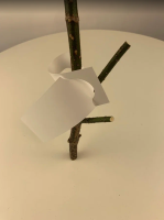 Садовые бирки Петельки для крупномеров 57 х 298 мм белая 20 шт Благодатное земледелие