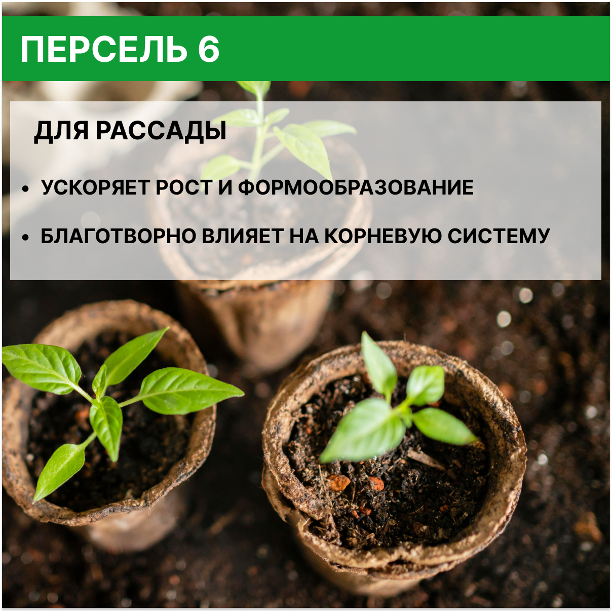 Универсальное дезинфицирующее средство для теплиц Персель 6, 2 шт по 1 л