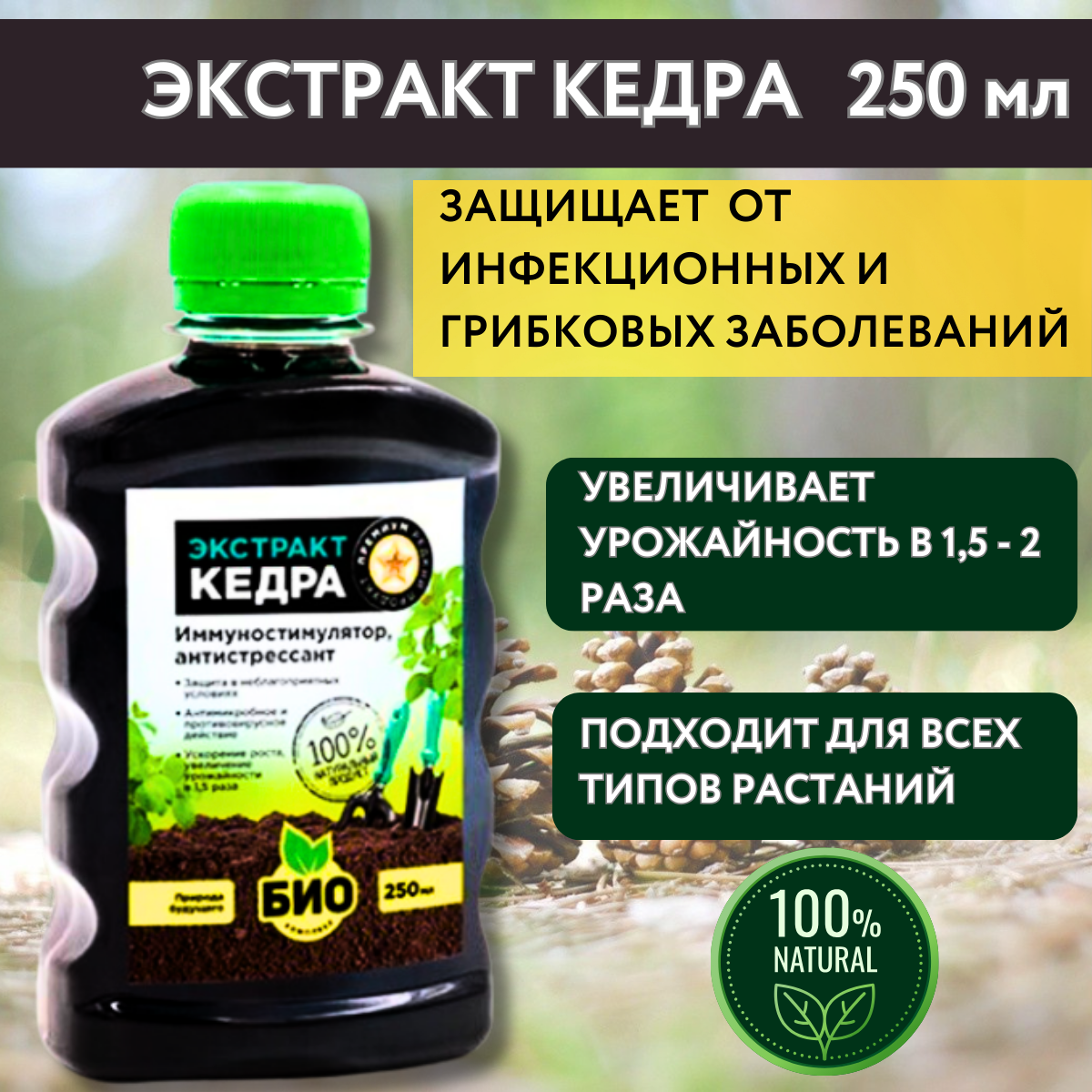 Экстракт Кедра 0,25 л