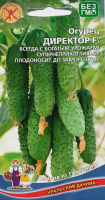 Семена Огурец Директор F1 Уральский Дачник