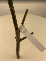 Садовые бирки Петельки 20*165 мм белые 25 шт Благодатное земледелие