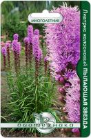 Семена Лиатрис Пылающая Звезда Биотехника