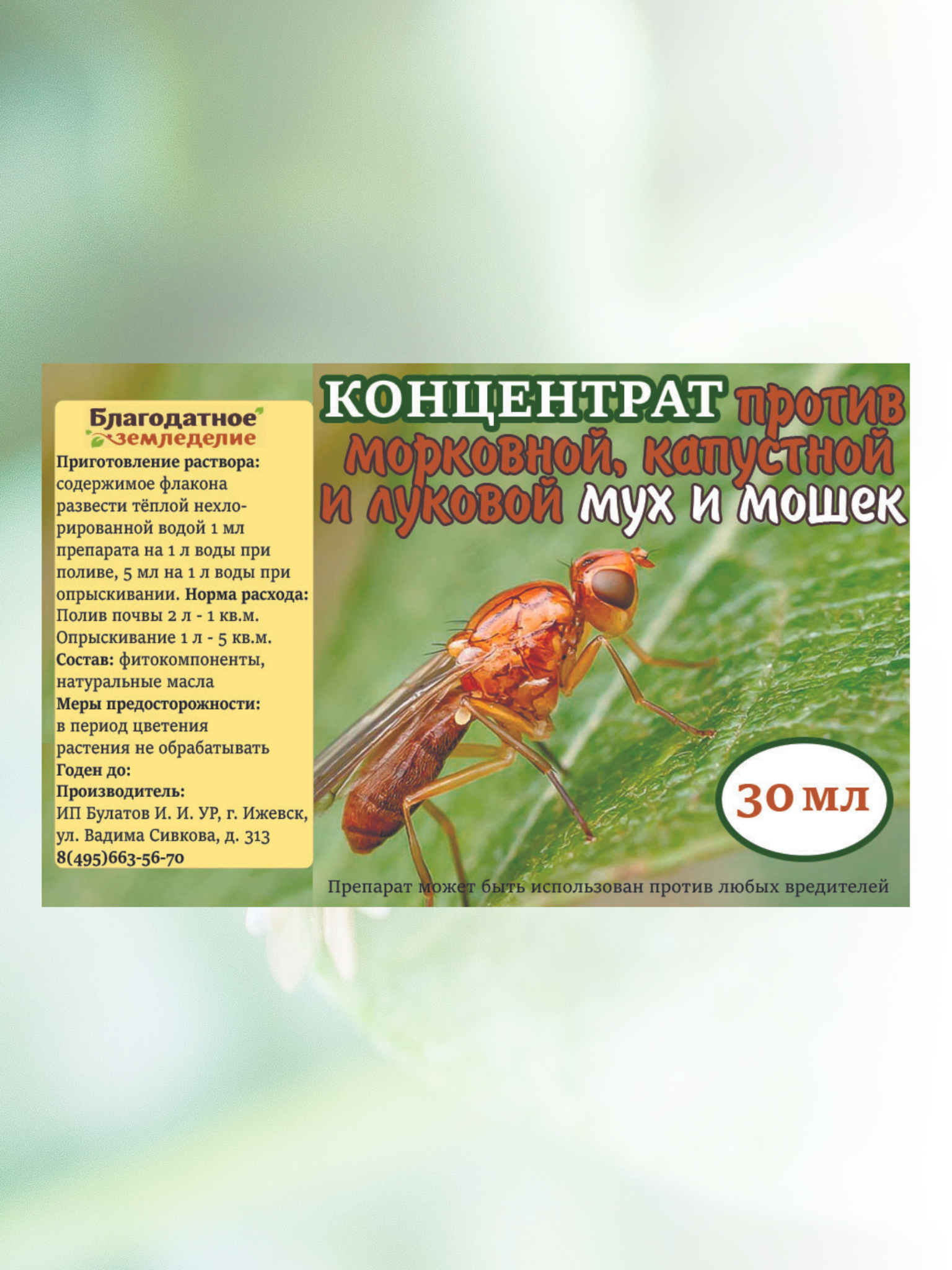 От луковой и морковной мухи чем обработать. Средство от луковой мухи. Морковная Муха. Защита от морковной мухи.