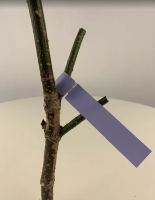 Садовые бирки Петельки 20*165 мм фиолетовые 25 шт Благодатное земледелие