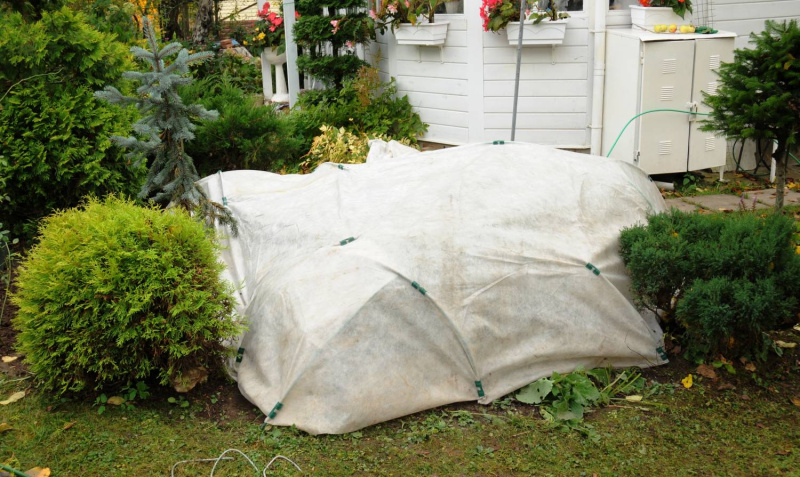 Укрывной материал для растений: какой лучше выбрать