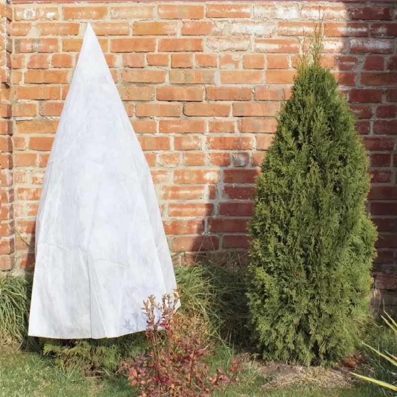 Чем укрыть хвойные зимой?