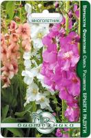 Семена Вербаскум Брызги Радуги (смесь) Биотехника