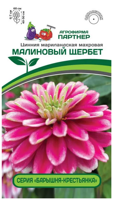 Семена Цинния МАЛИНОВЫЙ ЩЕРБЕТ / мариландская махровая 5шт Партнер 2-ной пак