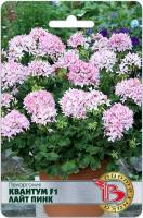 Семена Пеларгония Квантум F1 Лайт Пинк Биотехника