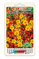 Семена Бархатцы Жемчужное ожерелье Цветущий сад, 2 шт