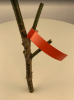 Садовые бирки Петельки 20*165 мм красные 25 шт Благодатное земледелие