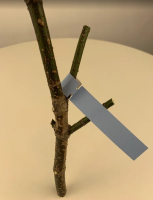 Садовые бирки Петельки 20*165 мм голубые 25 шт Благодатное земледелие