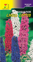 Семена Буддлея смесь сортов Цветущий сад