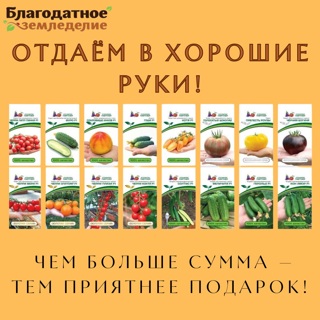 подарки в корзине