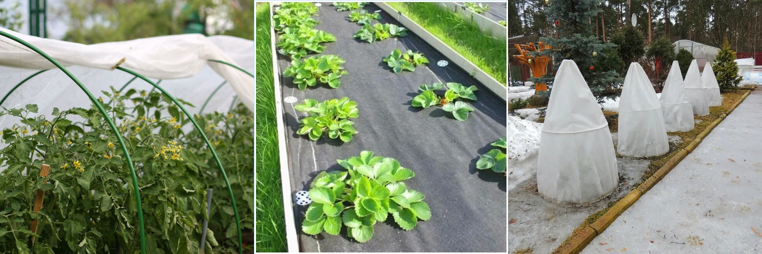 52692_02.jpg 52692_02.jpg