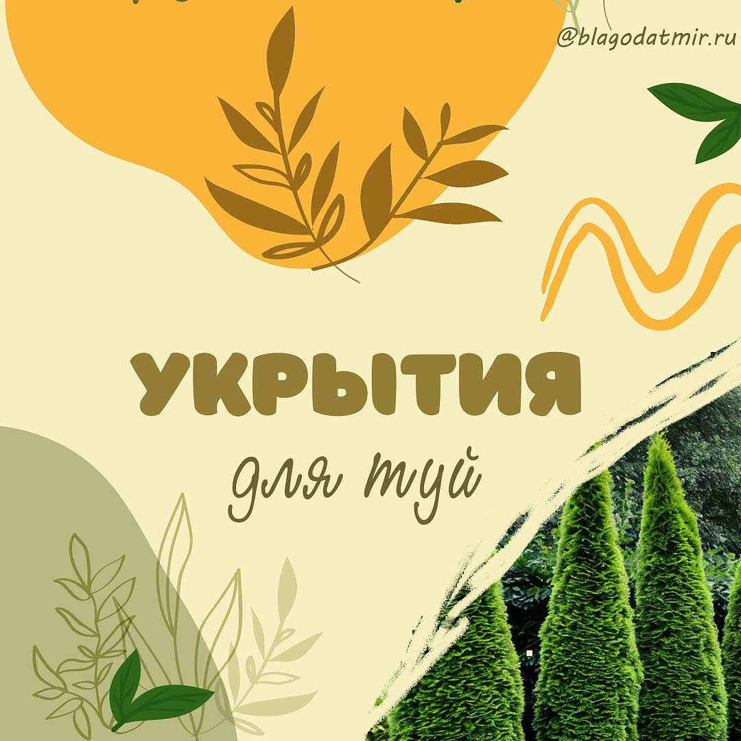 Укрытия для туй.jpg Укрытия для туй.jpg