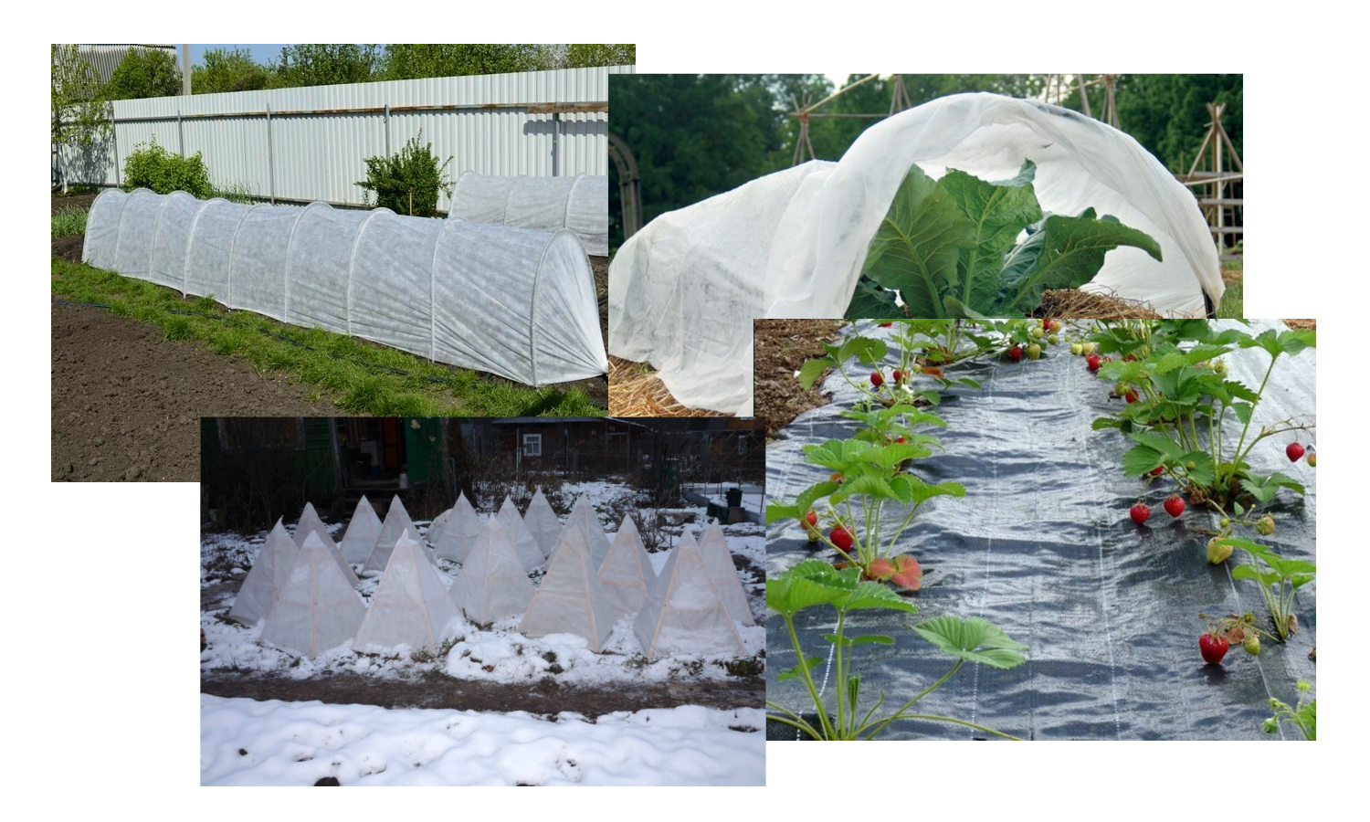 52692_04.png 52692_04.png