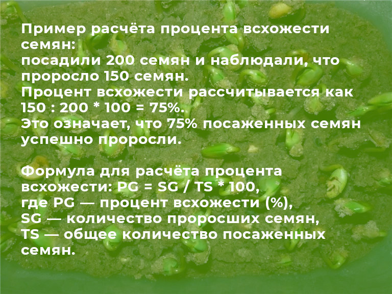 48790_07.jpg 48790_07.jpg