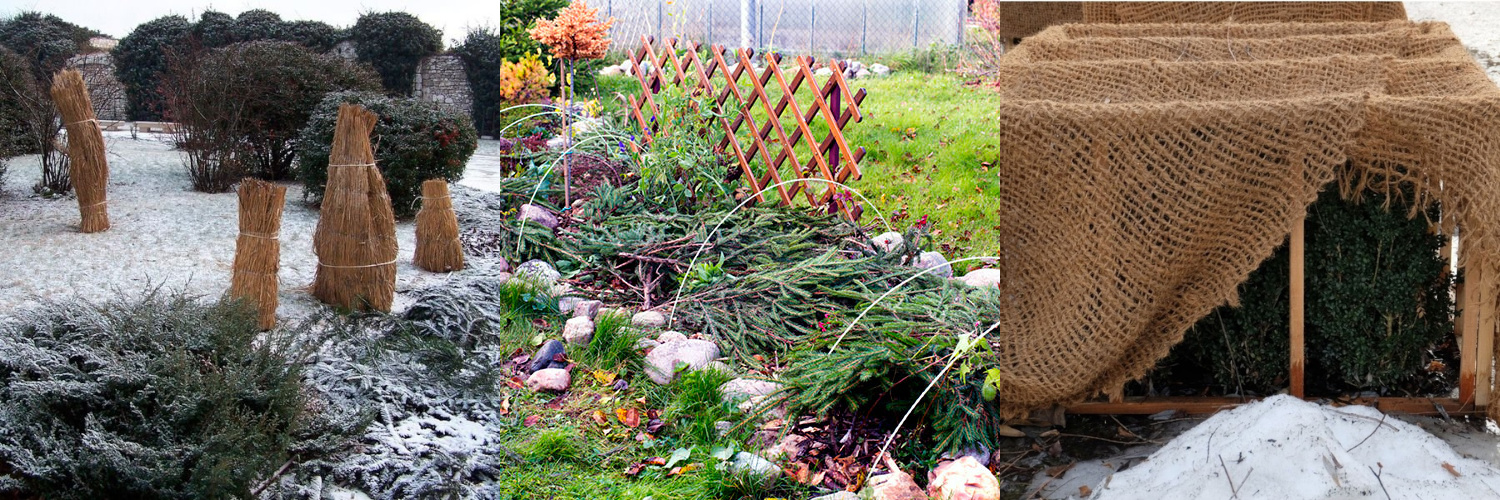 52692_03_05.jpg 52692_03_05.jpg