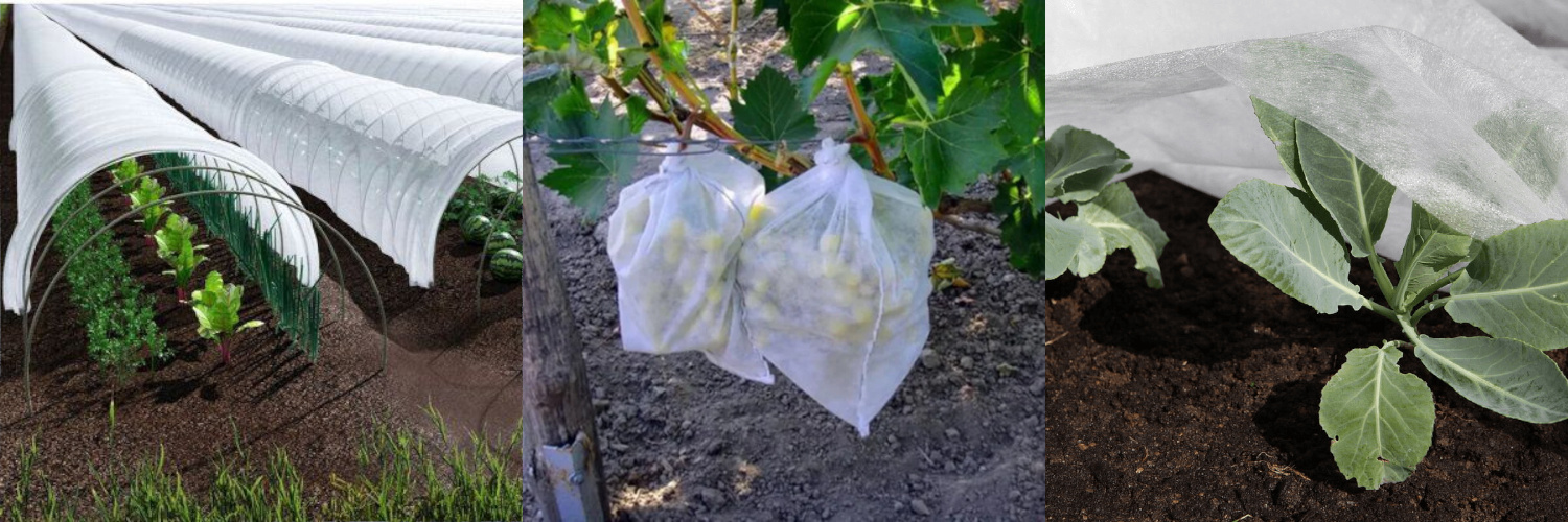 52692_05.jpg 52692_05.jpg