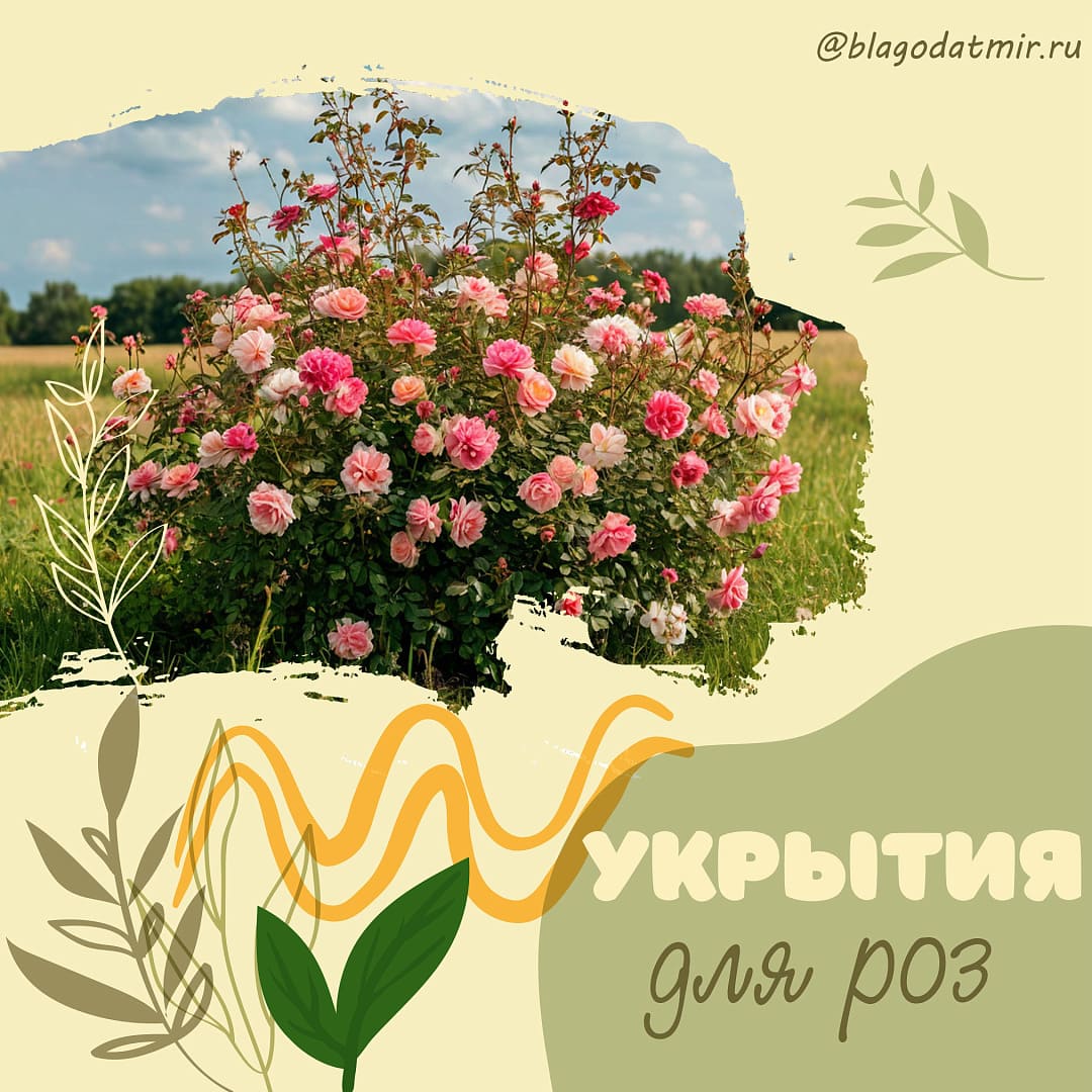Укрытия для роз.jpg Укрытия для роз.jpg