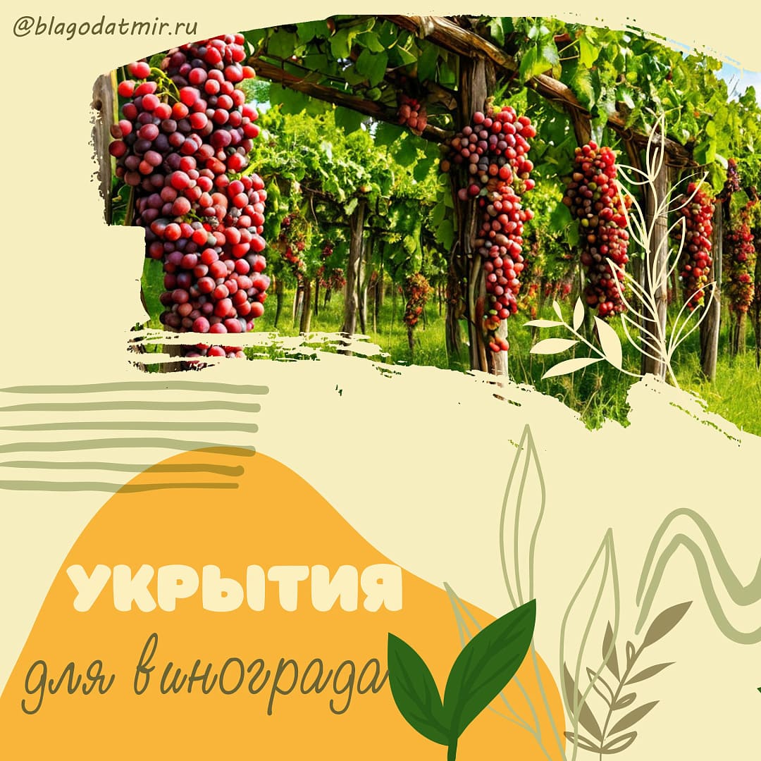 Укрытия для винограда.jpg Укрытия для винограда.jpg