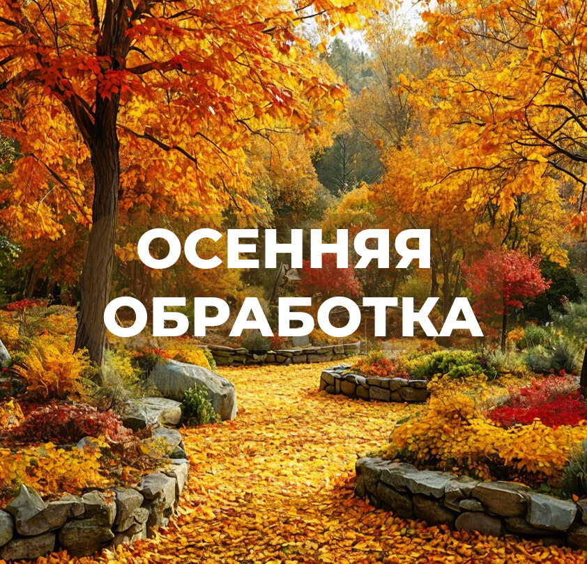 Осенняя обработка.jpg