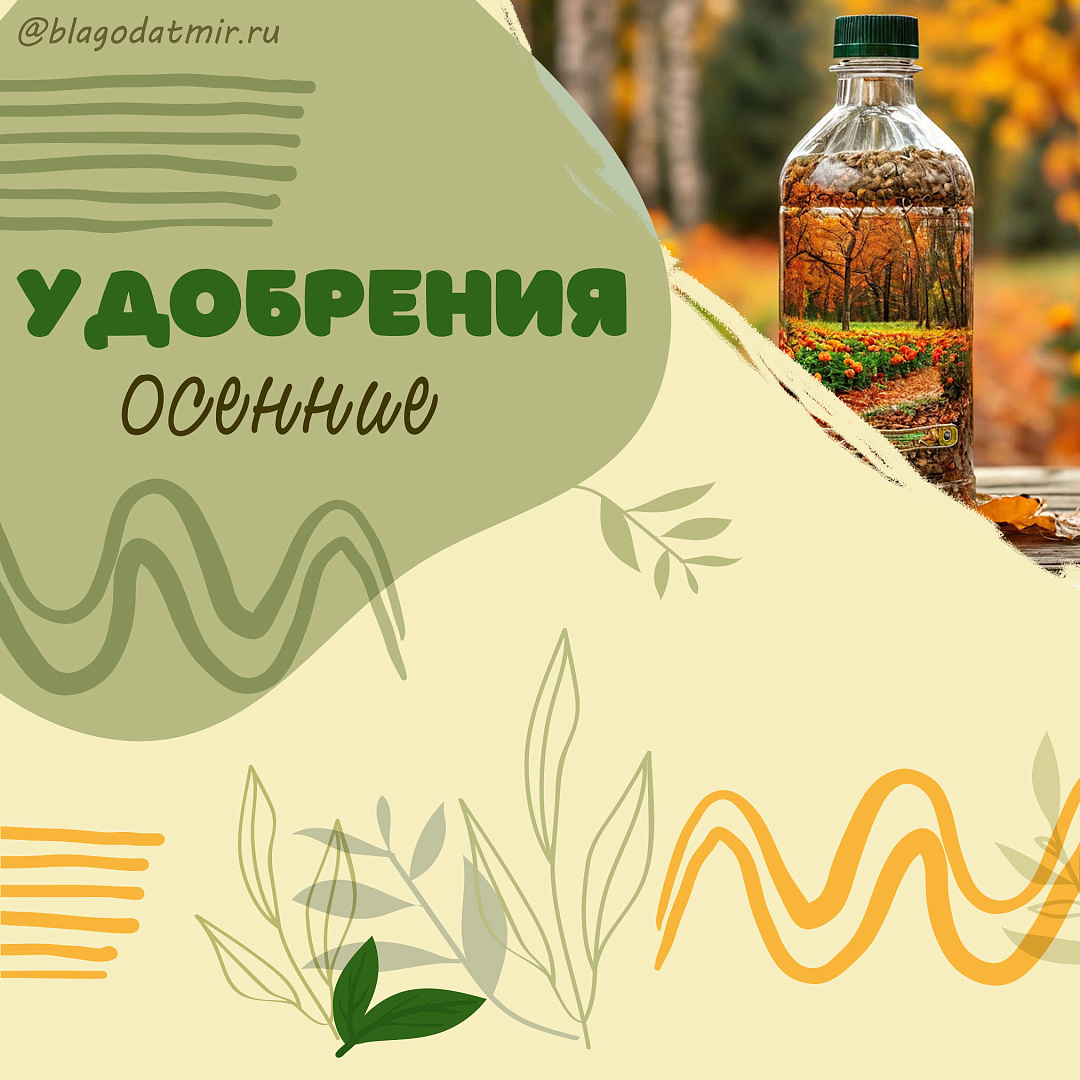 Удобрения осенние.jpg