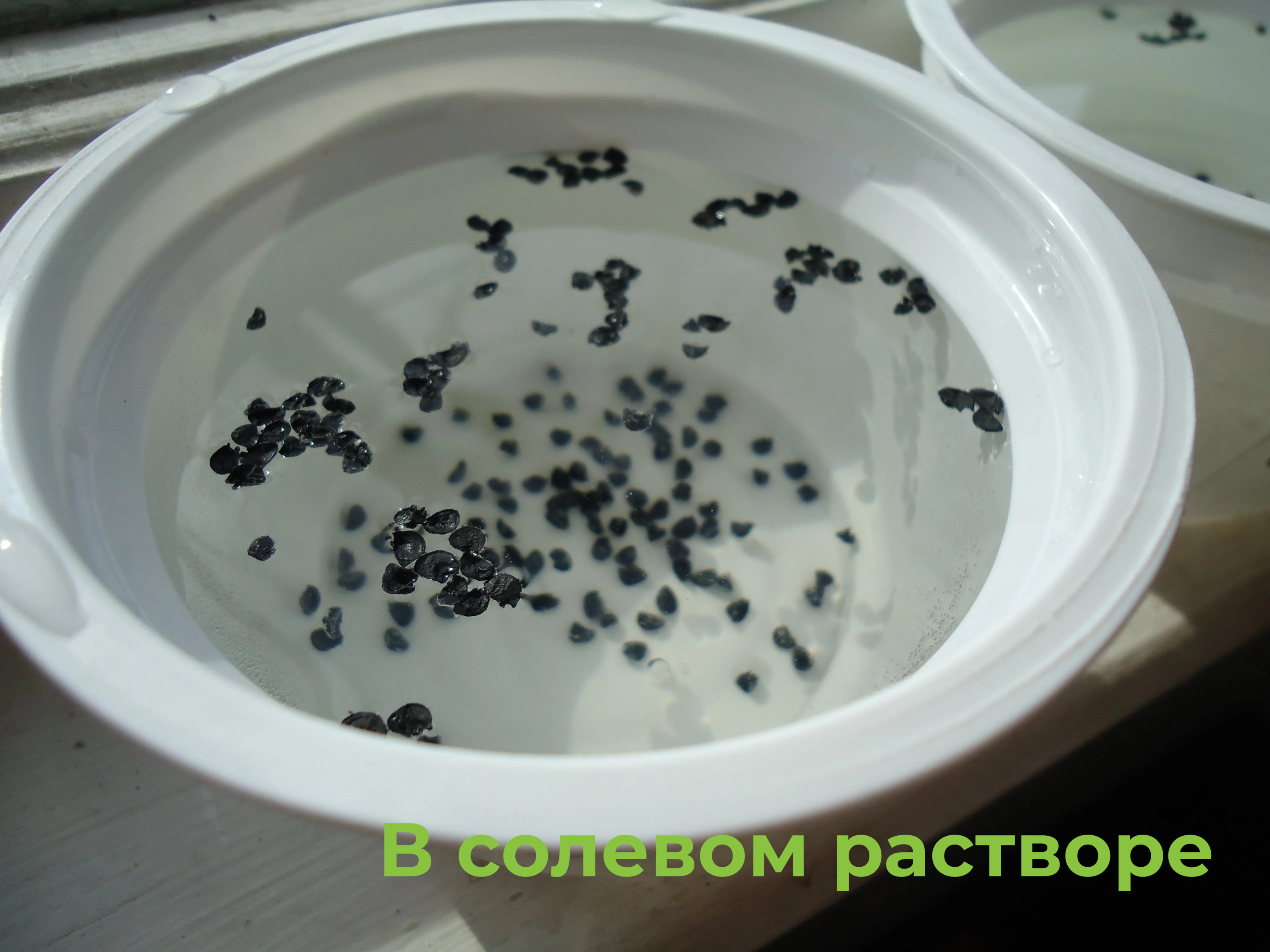 48790_03.jpg 48790_03.jpg