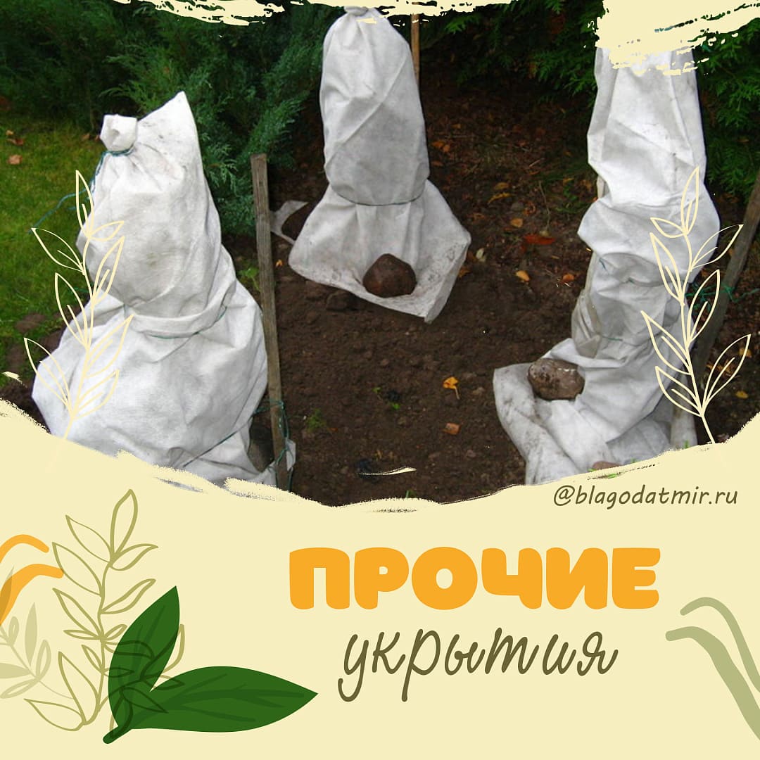Прочие укрытия.jpg Прочие укрытия.jpg