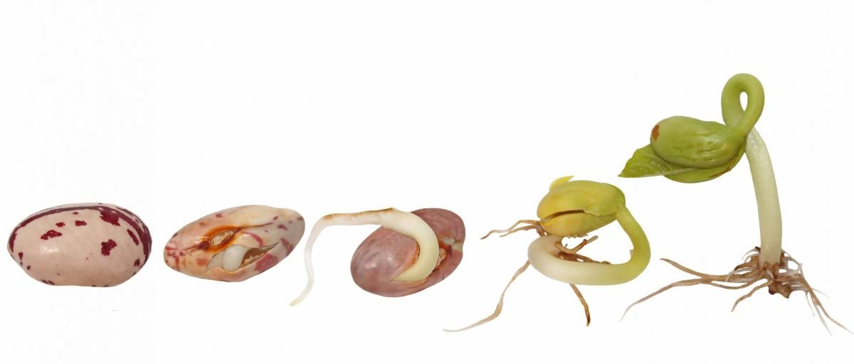 48790_08.jpg 48790_08.jpg