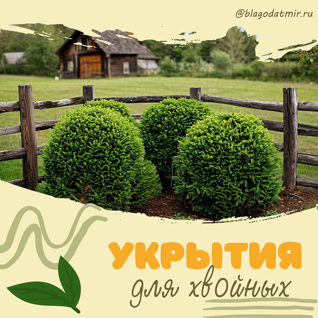 Укрытия для хвойных.jpg Укрытия для хвойных.jpg