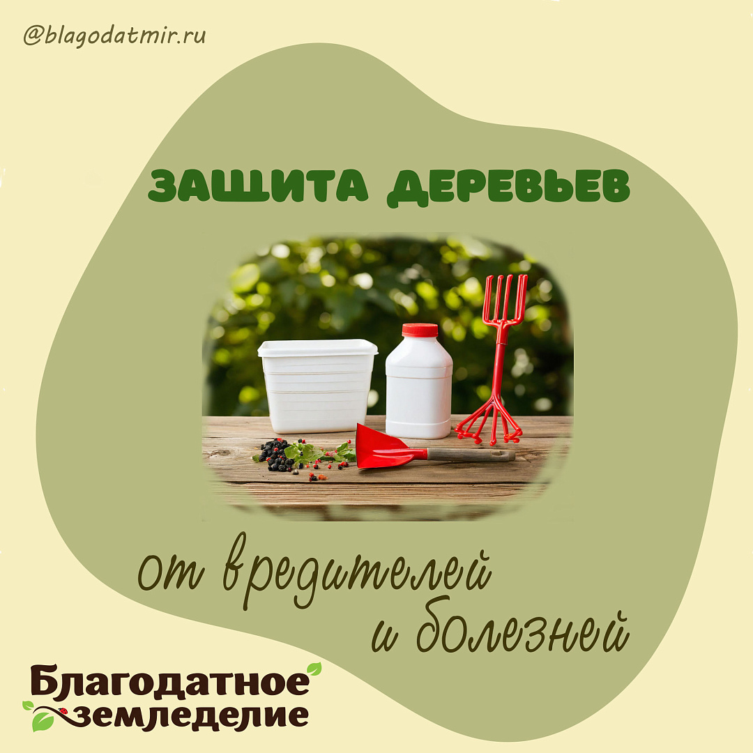 Защита деревьев.jpg