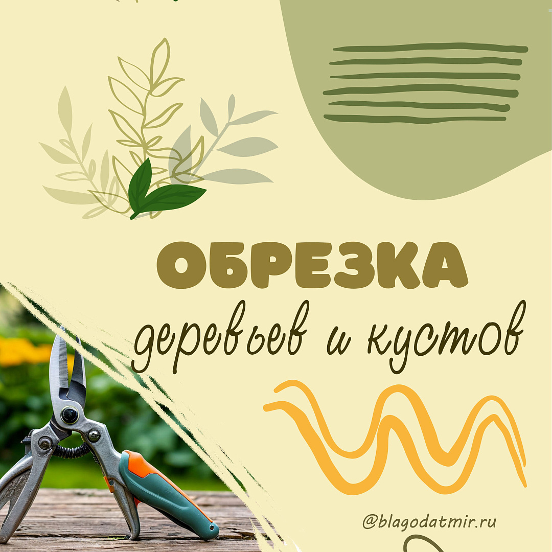 Обрезка деревьев и кустов.jpg