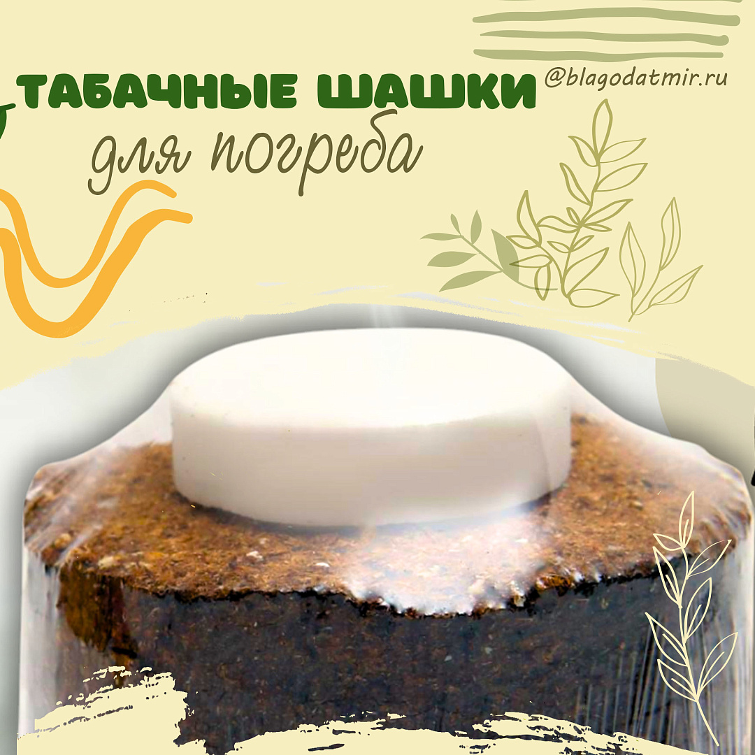 Табачные шашки.jpg