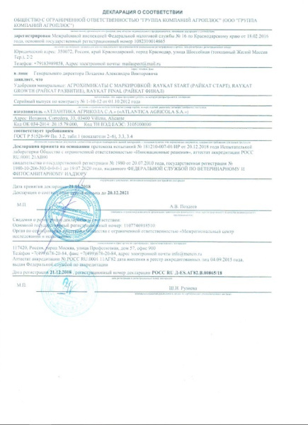 Райкат Развитие 0,1 л