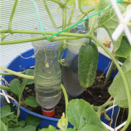 Конус на бутылку для автополива, 3 уп по 3 шт