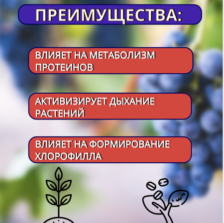 Удобрение хелатное Agree's Железо для профилактики и лечения хлороза растений 1 л