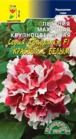 Семена Петуния махровая крупноцветковая Красная с белым Бархат F1 Цветущий сад